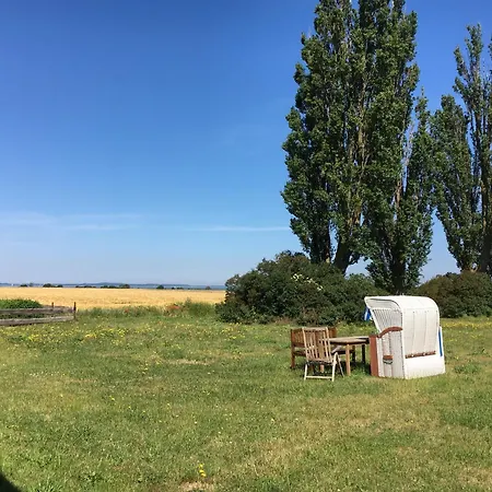 Gurvitz Apartament *